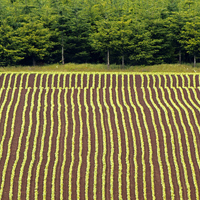 os0114-marioncofarmland os0114-marioncofarmland