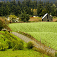 helvetia-by-swainboat helvetia-by-swainboat